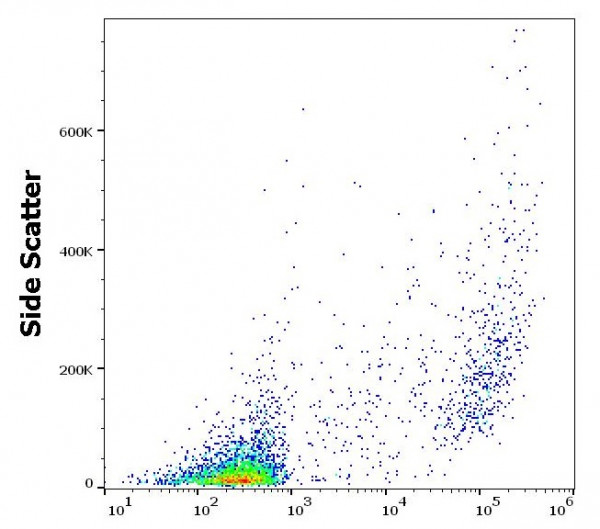 Anti-CD266 / TWEAK R, clone ITEM-4