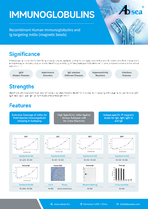 Recombinant Human Immunoglobulins and Ig-Targeting mAbs