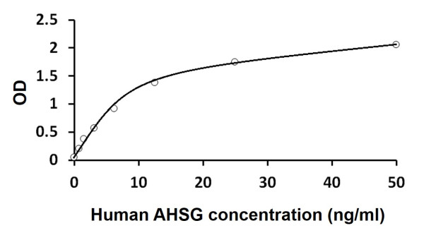 Human AHSG ELISA Kit