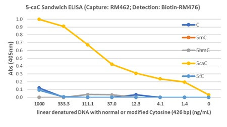 5-Carboxylcytosine (5-caC) DNA Matched Antibody Pair