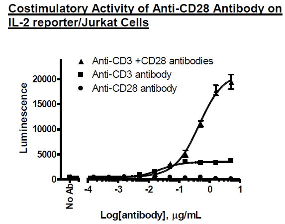 Anti-CD28 Agonist (Humanized)