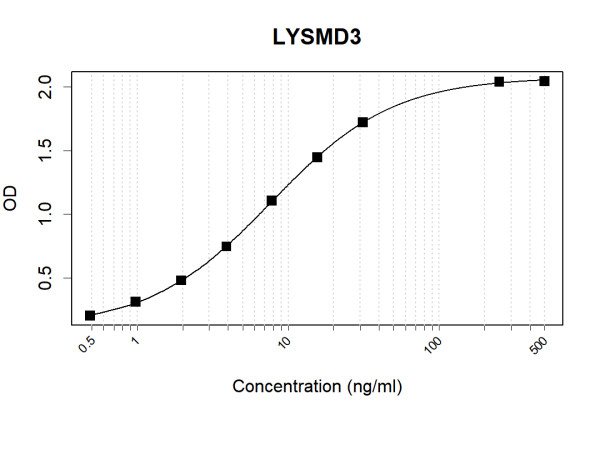 Anti-Human LYSMD3 Antibody Pair