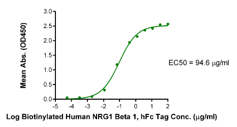Her4/ErbB4 hFc Chimera, Human