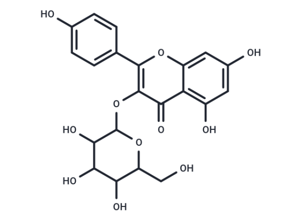Astragalin