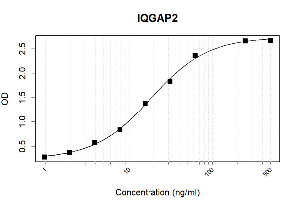 Anti-Human IQGAP2 Antibody Pair