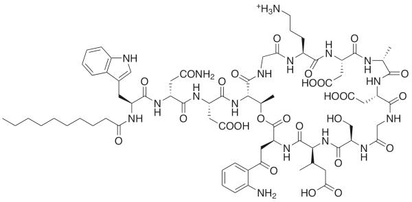 Daptomycin
