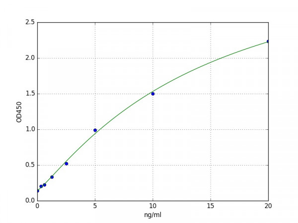 Mouse Bid ELISA Kit