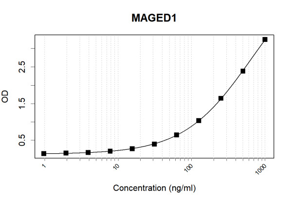Anti-Human MAGED1 Antibody Pair