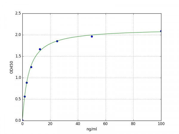 Human NAT5 / NAA20 ELISA Kit