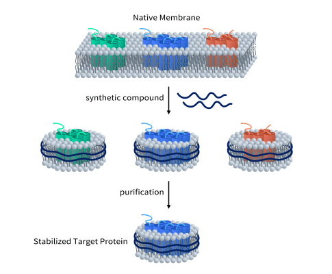 Synthetische Nanodiscs