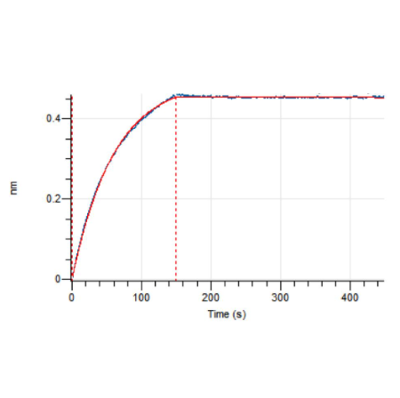 Anti-HER2 Bispecific Antibody (Zanidatamab)