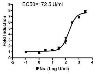 The Transfection Collection(TM) : ISRE Transient Pack JAK/STAT Signaling Pathway