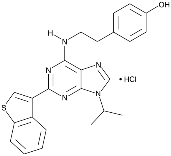 StemRegenin 1 (hydrochloride)
