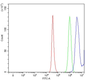 Anti-17-beta-HSD 3 / HSD17B3