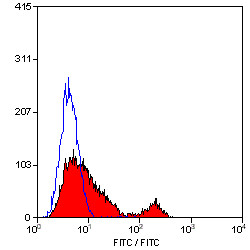 Anti-CD49f / Integrin alpha 6, clone 450-30A