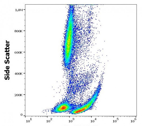 Anti-CD69, clone FN50 (FITC)