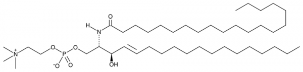 C20 Sphingomyelin (d18:1/20:0)
