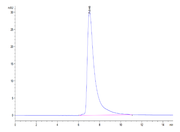 Human CD84/SLAMF5 Protein