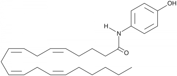 AM404