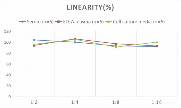 Human LBP (Lipopolysaccharide Binding Protein) CLIA Kit