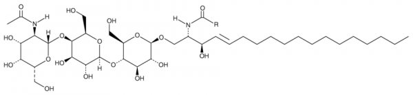 Asialo Ganglioside GM2