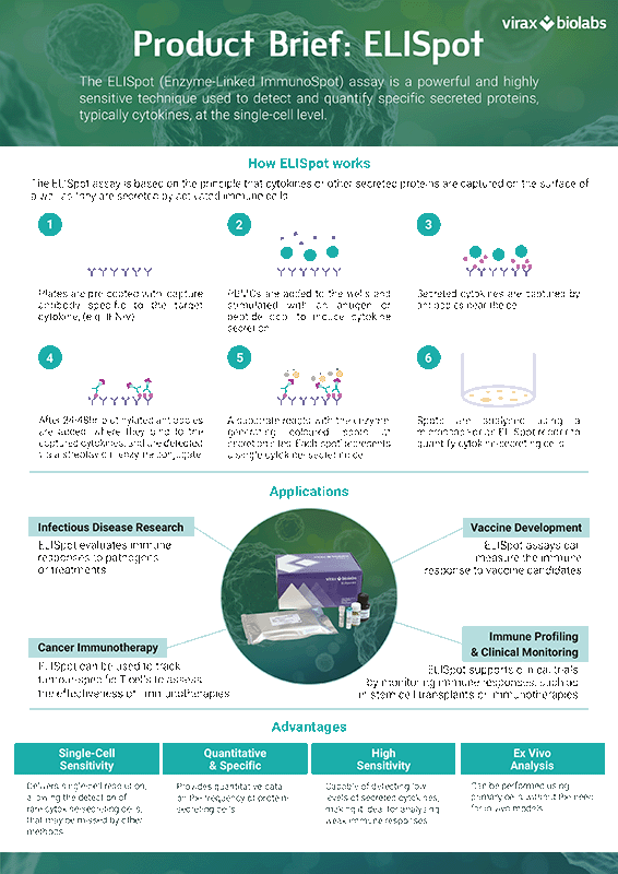 Product Brief – ELISpot Assays