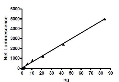 Aurora Kinase A, active human recombinant protein