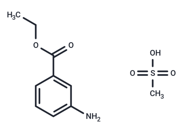 Tricaine methanesulfonate