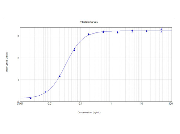 Anti-RFP, recombinant VHH single domain antibody, clone RFP40