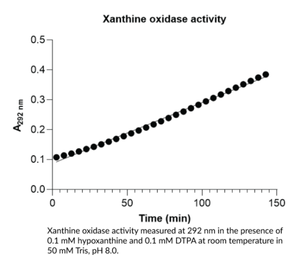 Xanthine Oxidase (bovine)