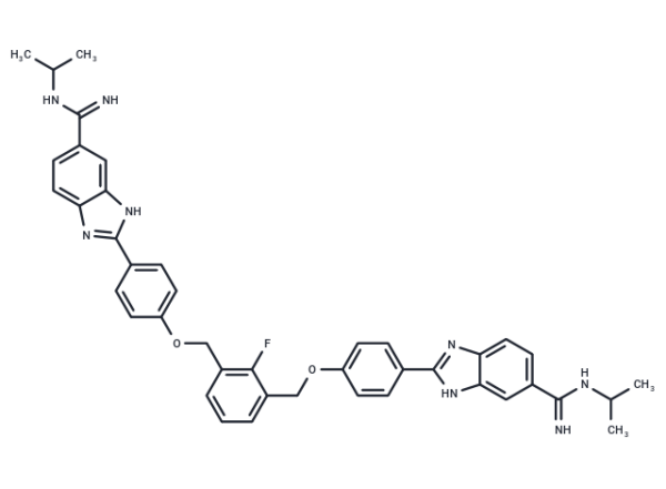 DB2313