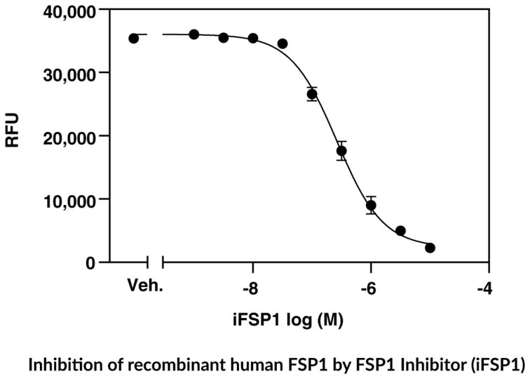 FSP1 Fluorescent Inhibitor Screening Assay Kit 