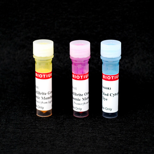 CellBrite(TM) Red Cytoplasmic Membrane Dye