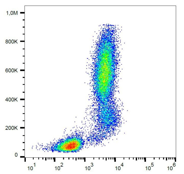 Anti-CD13 / Aminopeptidase N, clone WM15 (PerCP)