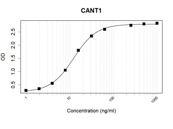Anti-Human CANT1 Antibody Pair