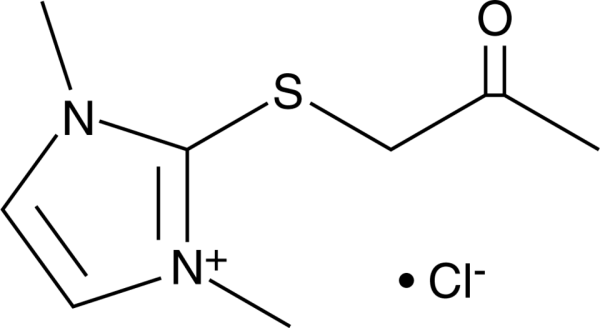 TG2-IN-1 (chloride)