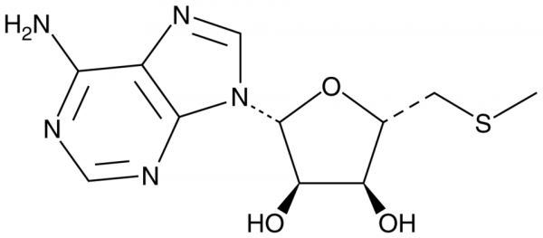 5&#039;-Deoxy-5&#039;-methylthioadenosine