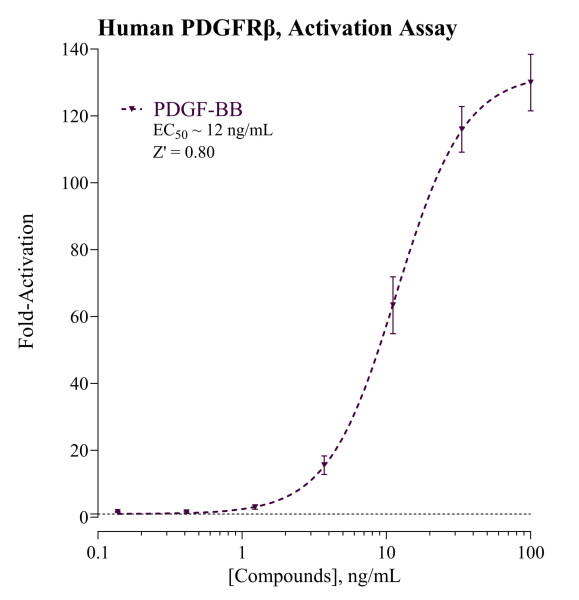 PDGFRbeta Inhibition Reporter Assay System (human)