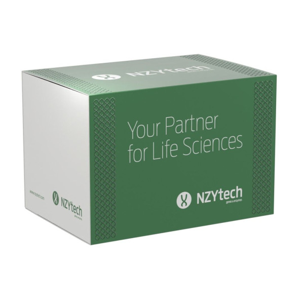 NZY Bacterial &amp; Viral RNA/DNA Isolation Kit