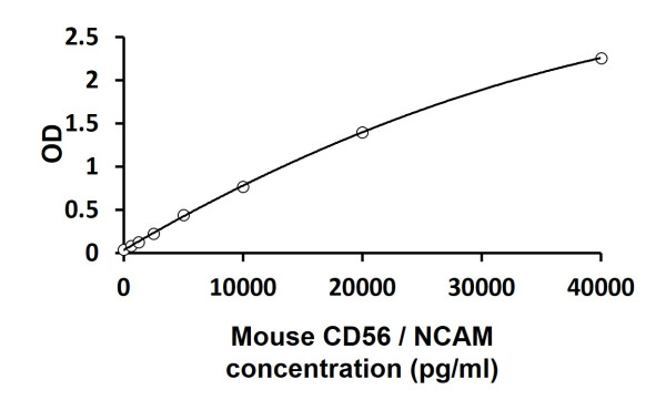 Mouse CD56 / NCAM ELISA Kit