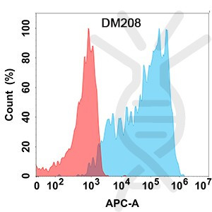 Anti-CXCR3 antibody(DM208), Rabbit mAb