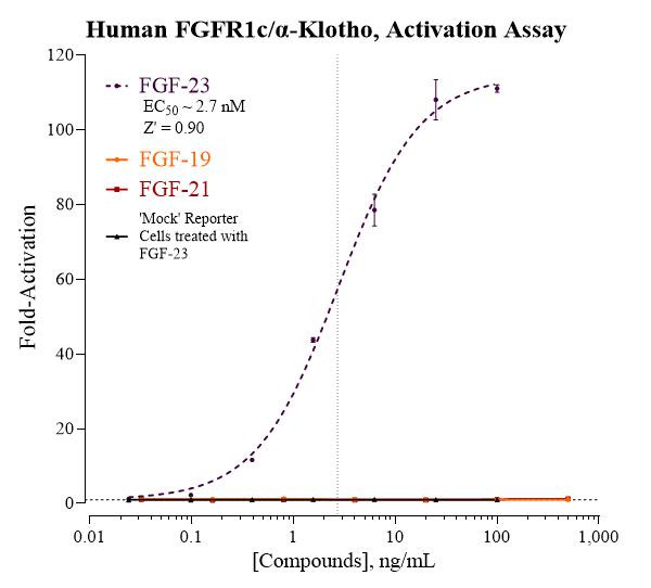 FGFR1/alpha-Klotho Reporter Assay System (human)