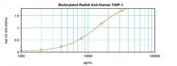 Anti-TIMP-1 (Biotin)