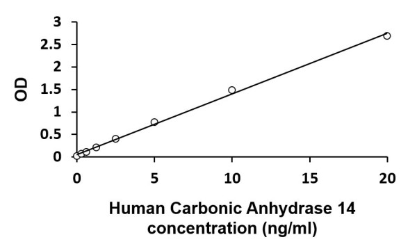 Human CA14 / Carbonic Anhydrase 14 ELISA Kit
