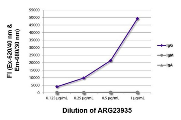 Anti-Human IgG Fc [H2] (APC) [Mouse]