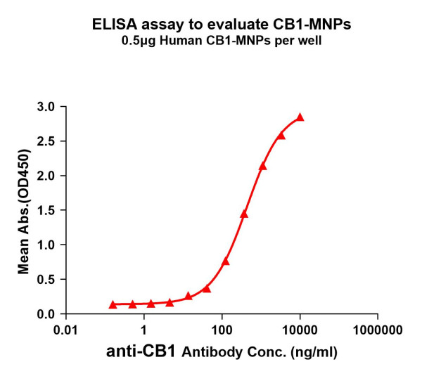 CB1 (human) full length protein-MNP