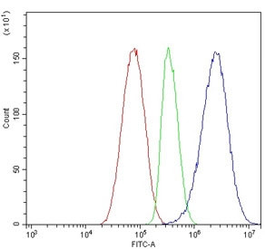 Anti-APOA5 / Apolipoprotein A-V