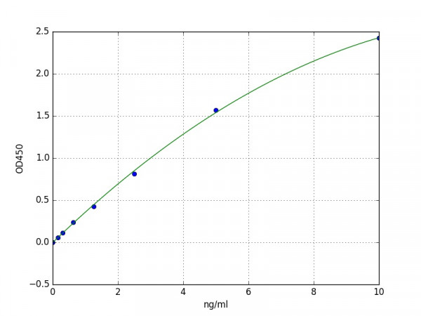 Human NOX4 / NADPH oxidase 5 ELISA Kit