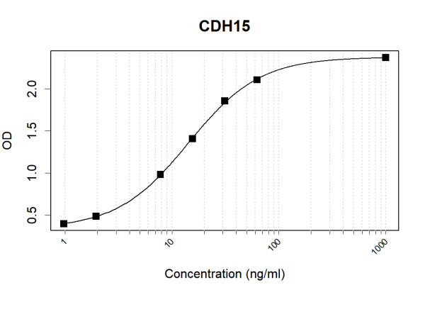 Anti-Human CDH15 Antibody Pair