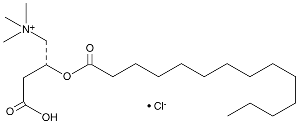 Myristoyl-L-carnitine (chloride) | CAS 173686-73-2 | Cayman Chemical | Biomol.com Myristoyl-L-carnitine (chloride) | CAS 173686-73-2 | Cayman Chemical | Biomol.com